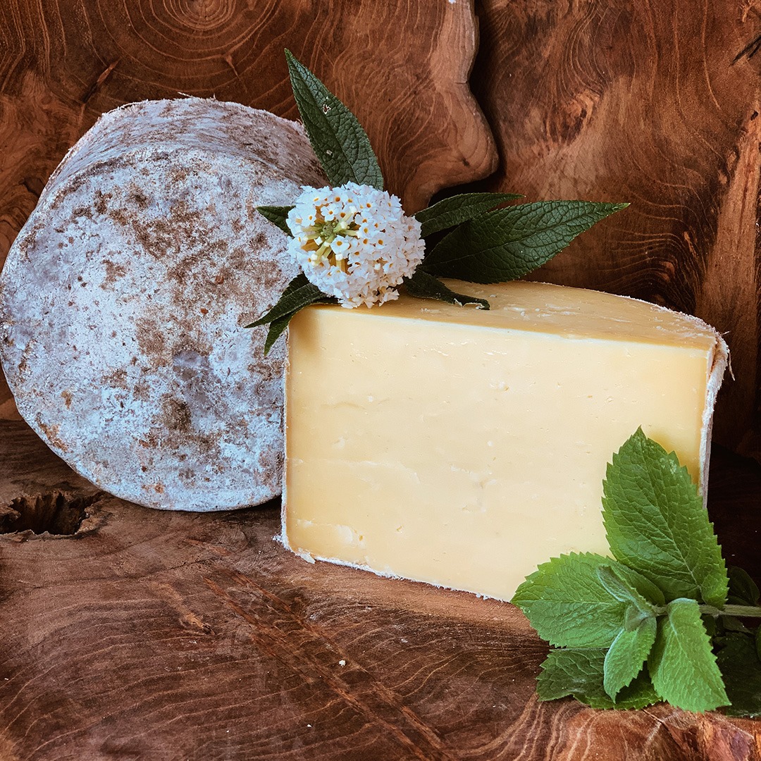 Käse-Reuter