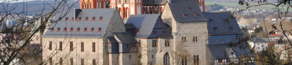 Limburger Schloss