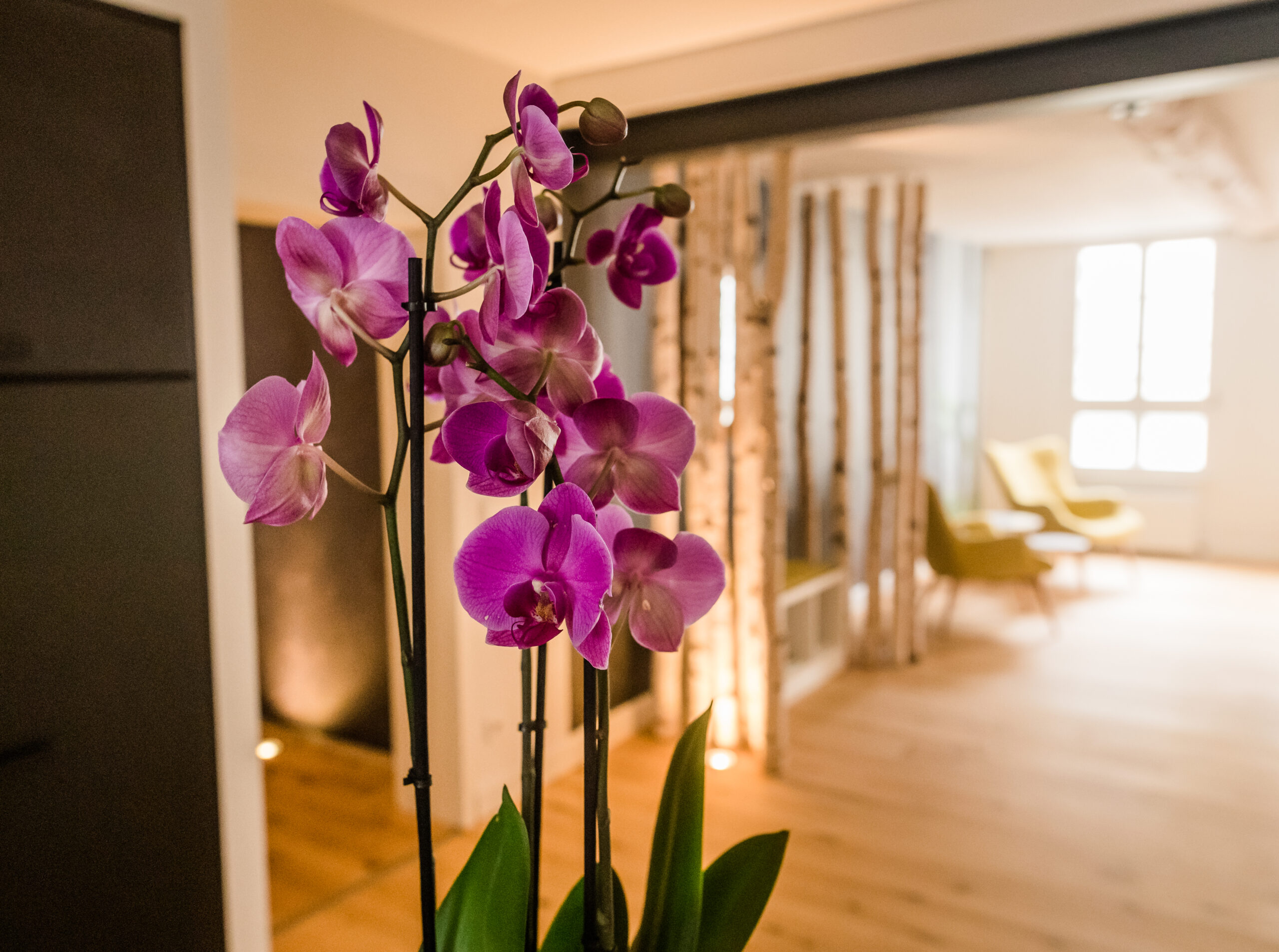 Kinesiologisches Coaching Bianca Brahm